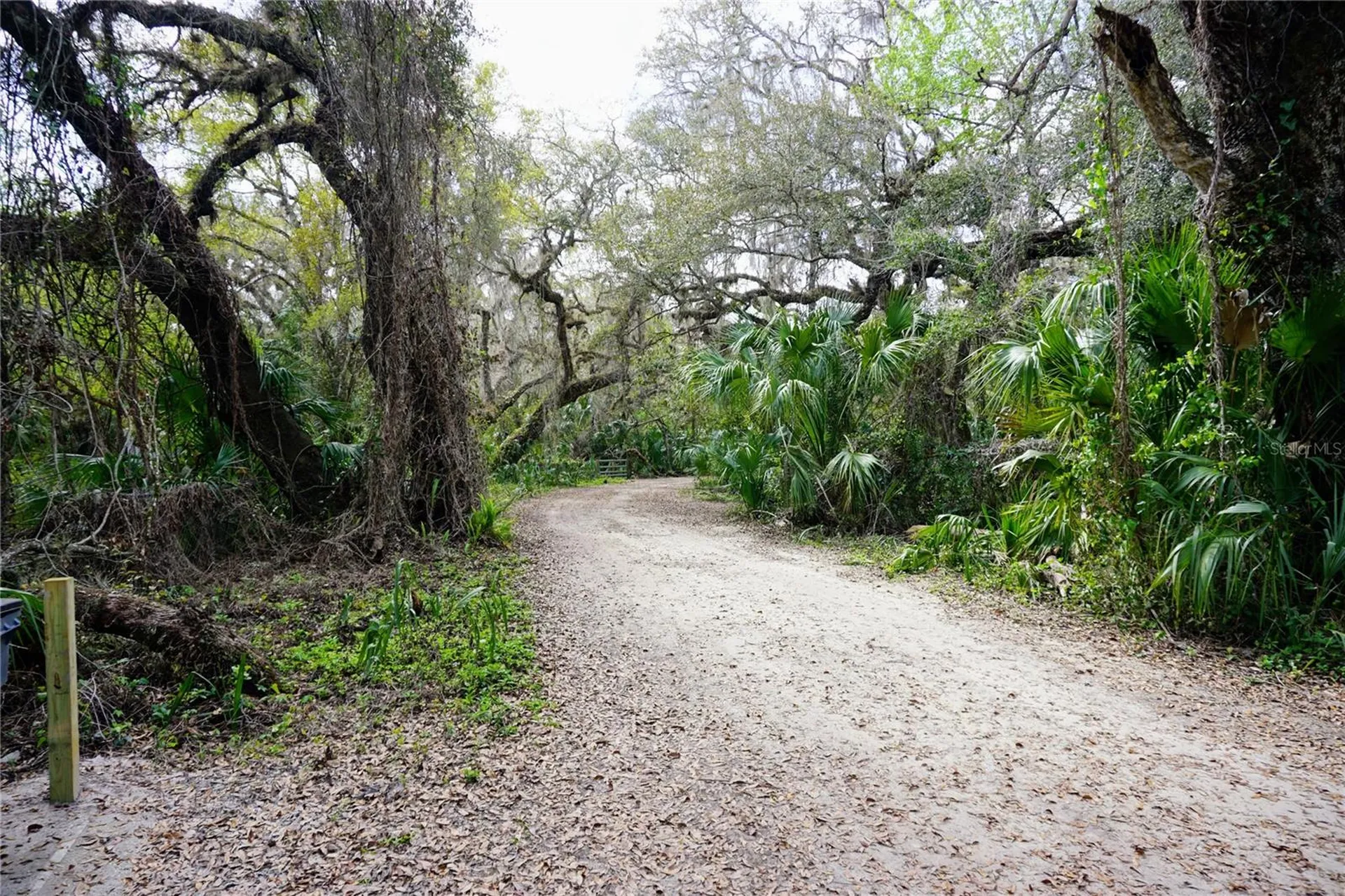 6880 E Channel Drive Hernando FL 34442
