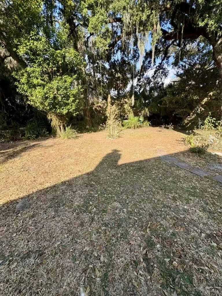 1225 Carson Avenue Kissimmee FL 34744