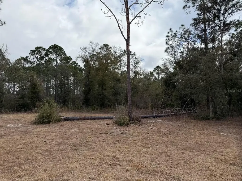 13510 N Gulf Manor Perry FL 32348