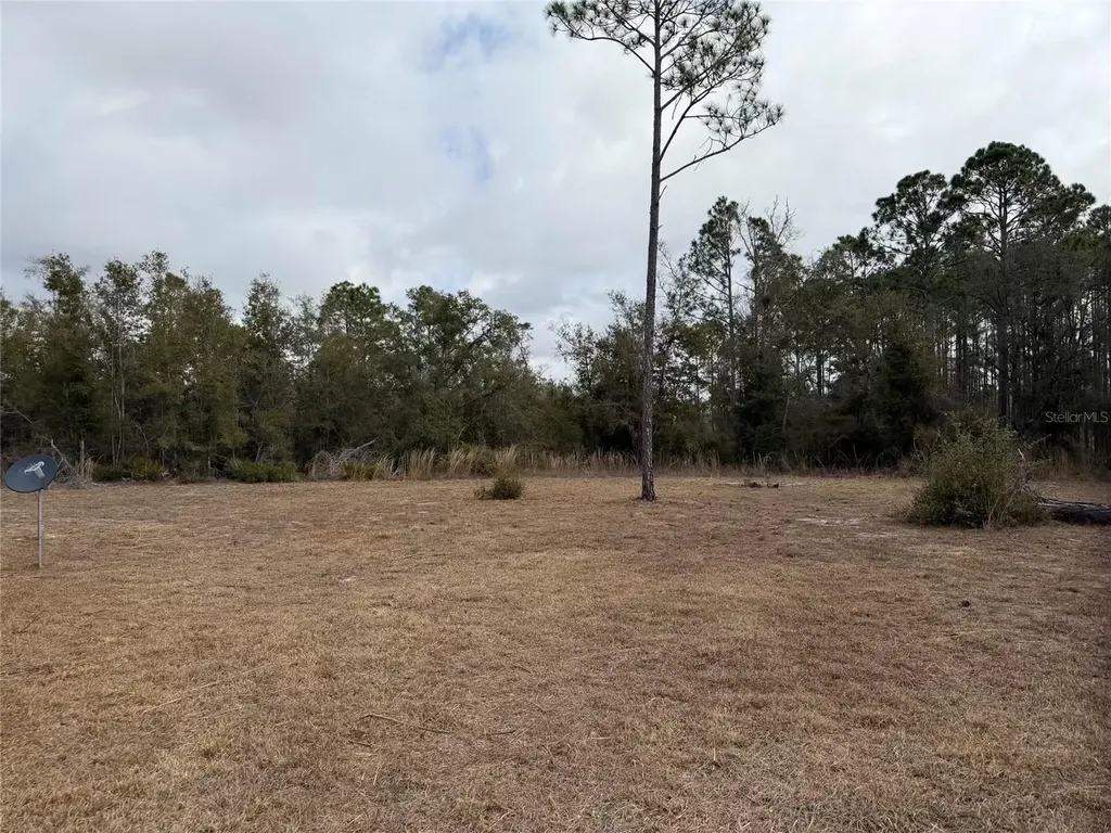 13510 N Gulf Manor Perry FL 32348