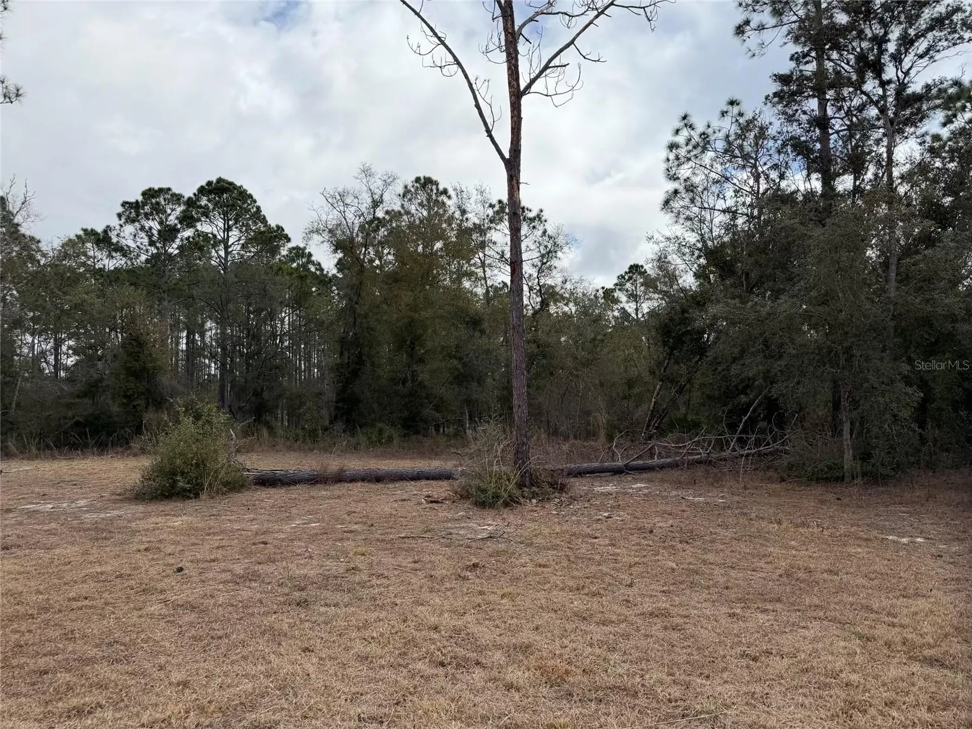 13510 N Gulf Manor Perry FL 32348