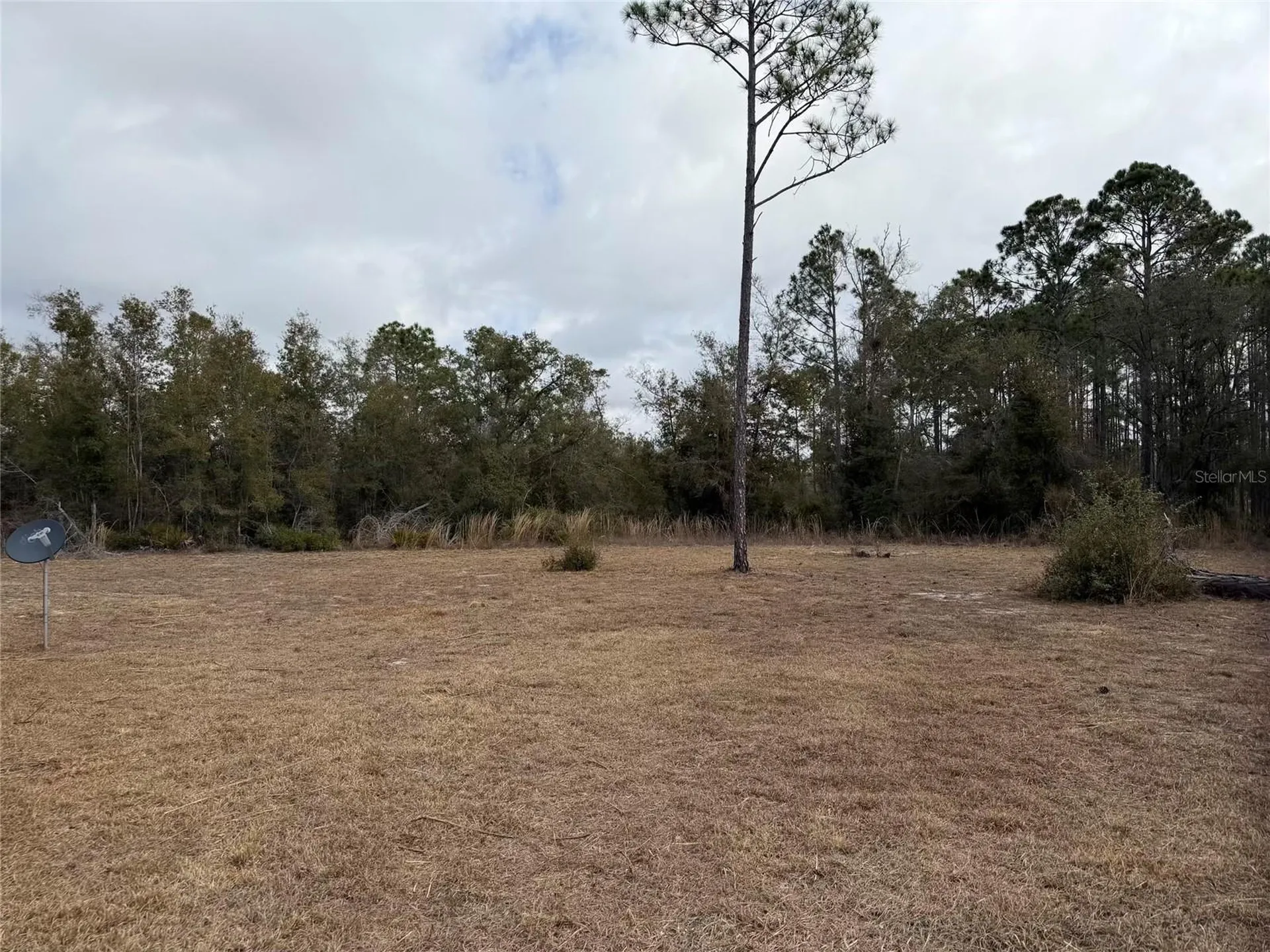 13510 N Gulf Manor Perry FL 32348