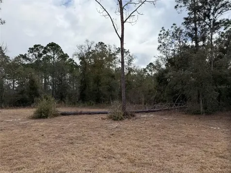13510 N Gulf Manor Perry FL 32348