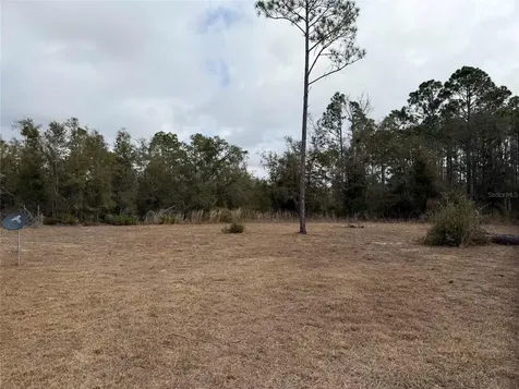 13510 N Gulf Manor Perry FL 32348