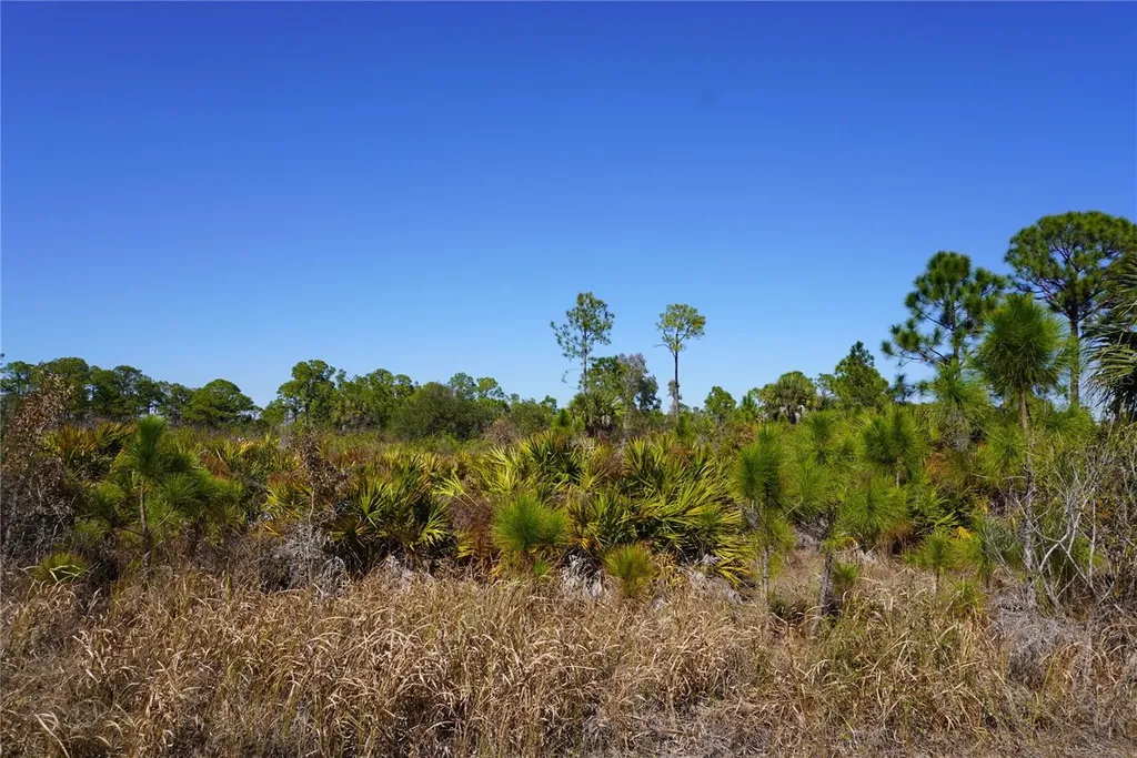 12392 Dietrich Avenue Port Charlotte FL 33953