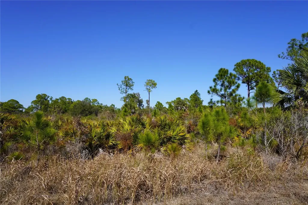 12392 Dietrich Avenue Port Charlotte FL 33953