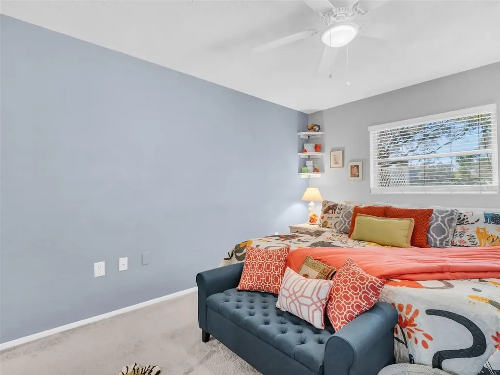3061 Alt 19 Palm Harbor FL 34683