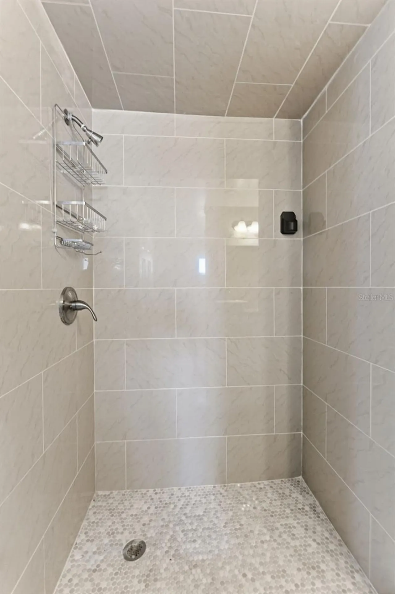 2526 W Cordelia Street Tampa FL 33607