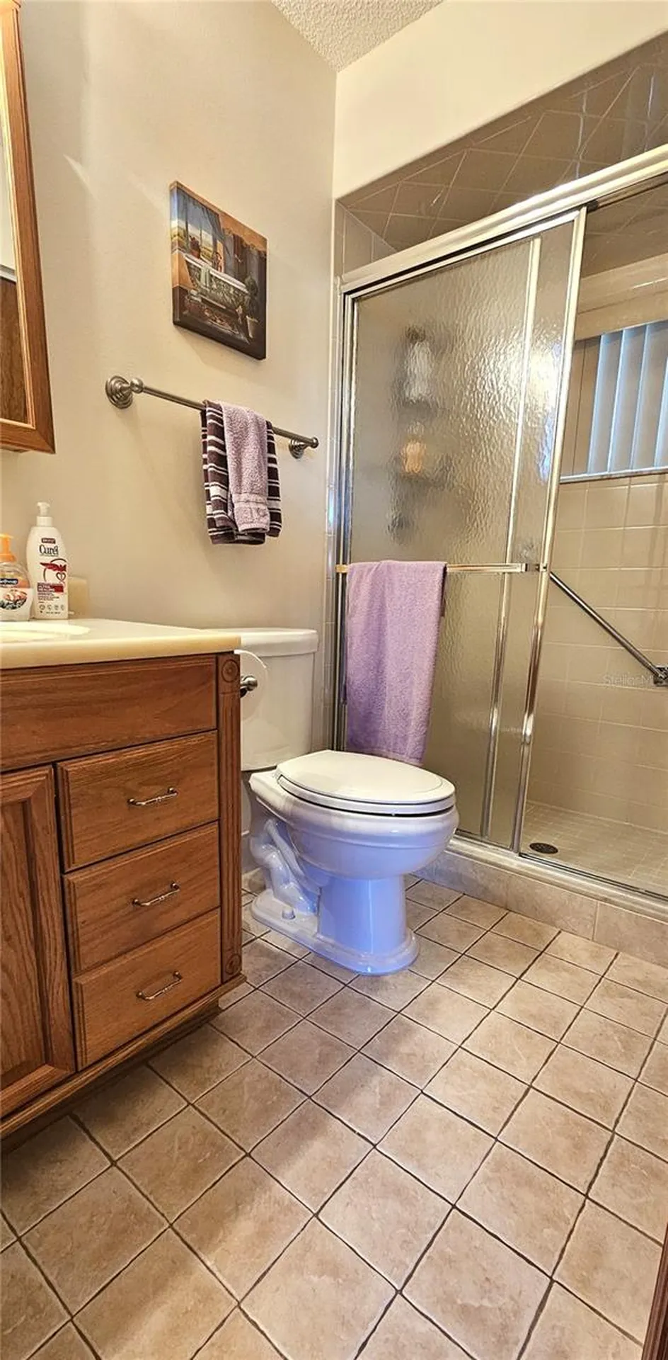 11258 SW 75th Terrace Ocala FL 34476