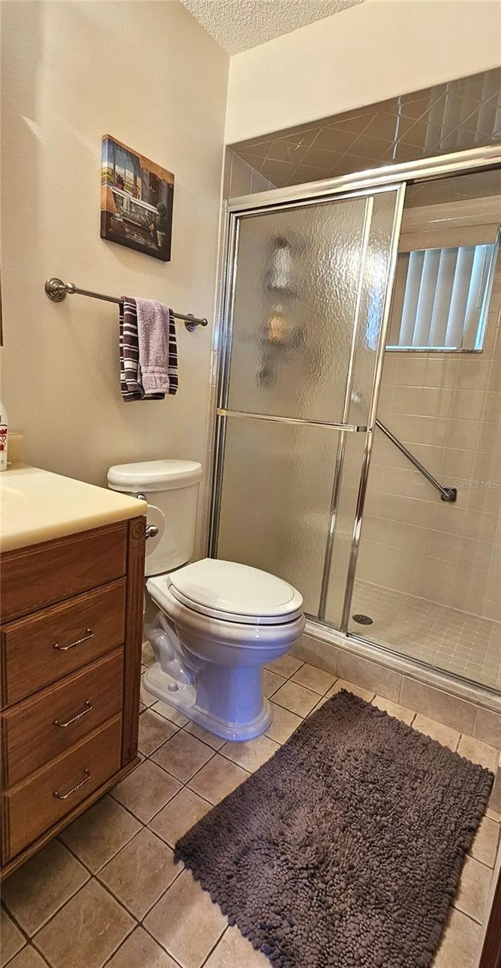 11258 SW 75th Terrace Ocala FL 34476