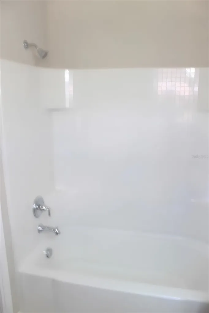4906 White Sanderling Court Tampa FL 33619