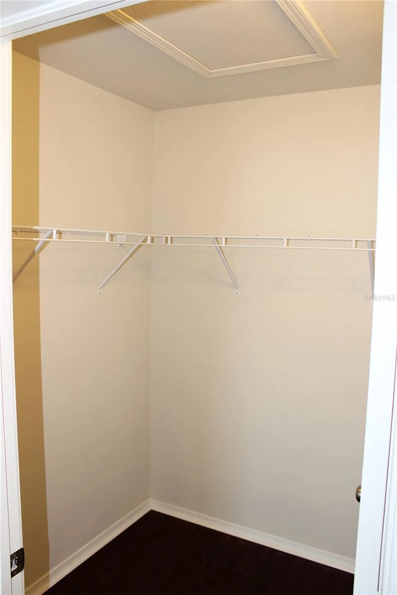 4906 White Sanderling Court Tampa FL 33619