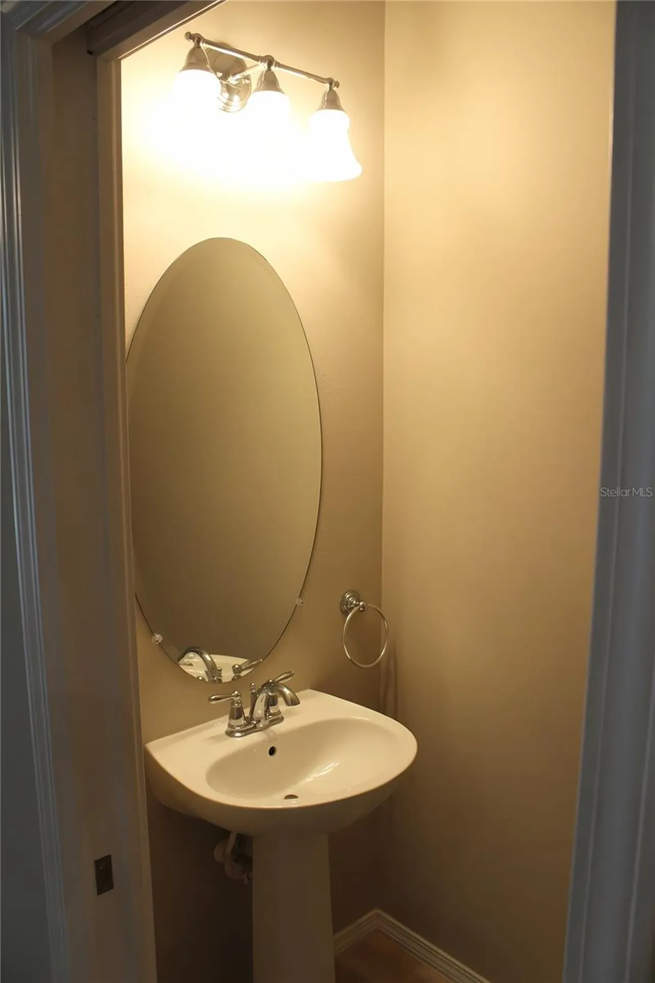 4906 White Sanderling Court Tampa FL 33619