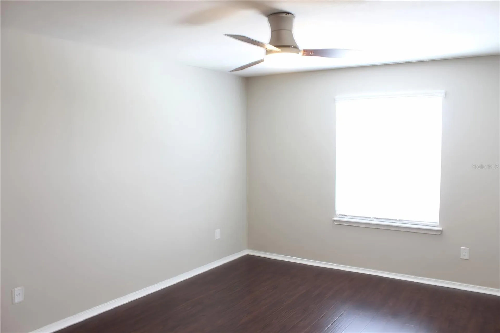 4906 White Sanderling Court Tampa FL 33619
