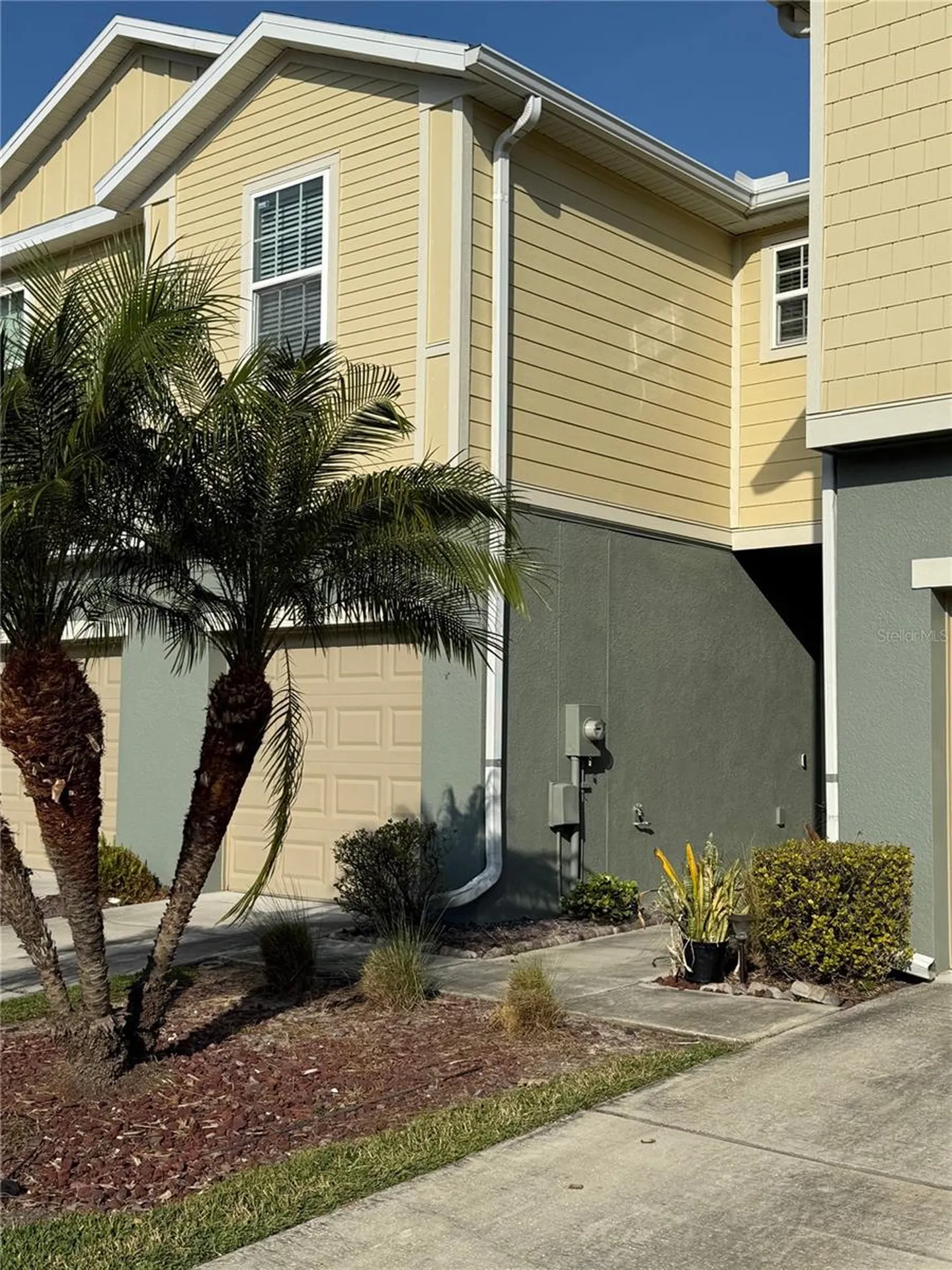 4906 White Sanderling Court Tampa FL 33619