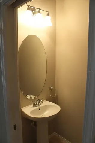 4906 White Sanderling Court Tampa FL 33619