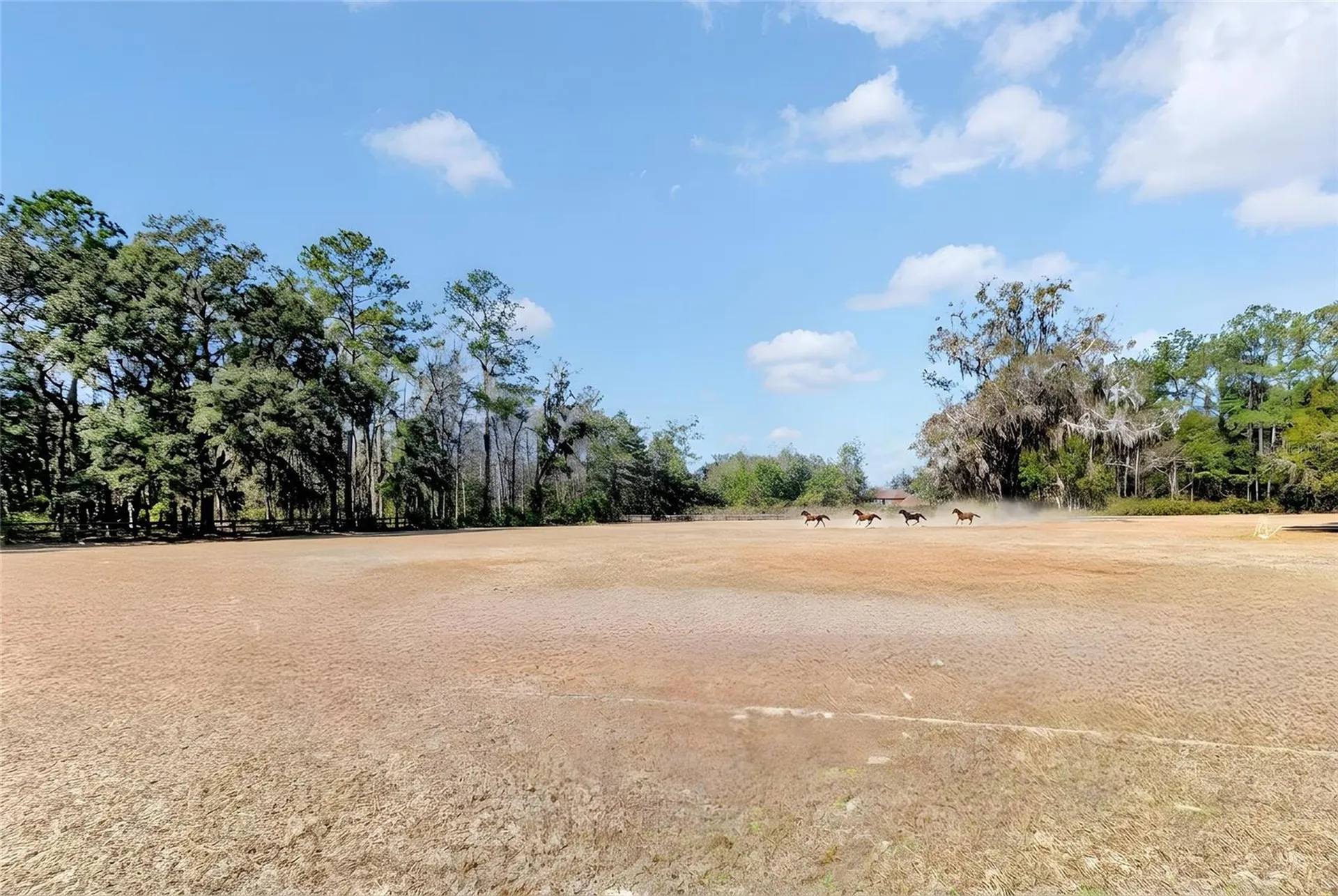 573 SE Nature Drive Lake City FL 32025