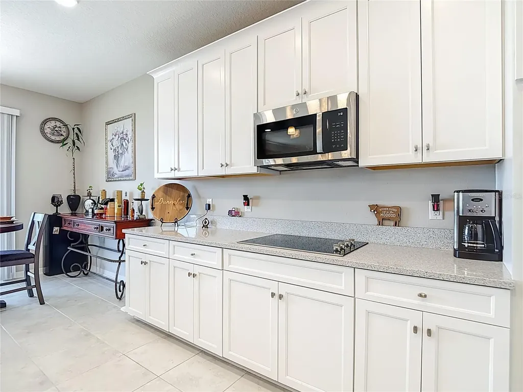2881 Misty Marble Drive Zephyrhills FL 33540