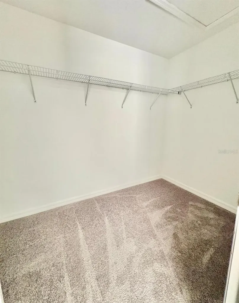 10321 Trumpet Honeysuckle Way San Antonio FL 33576