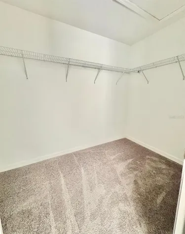 10321 Trumpet Honeysuckle Way San Antonio FL 33576