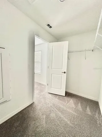 10321 Trumpet Honeysuckle Way San Antonio FL 33576