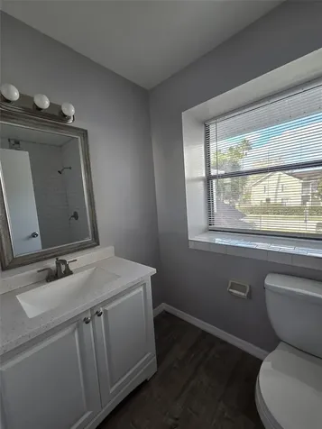 3226 Fox Squirrel Drive Kissimmee FL 34741