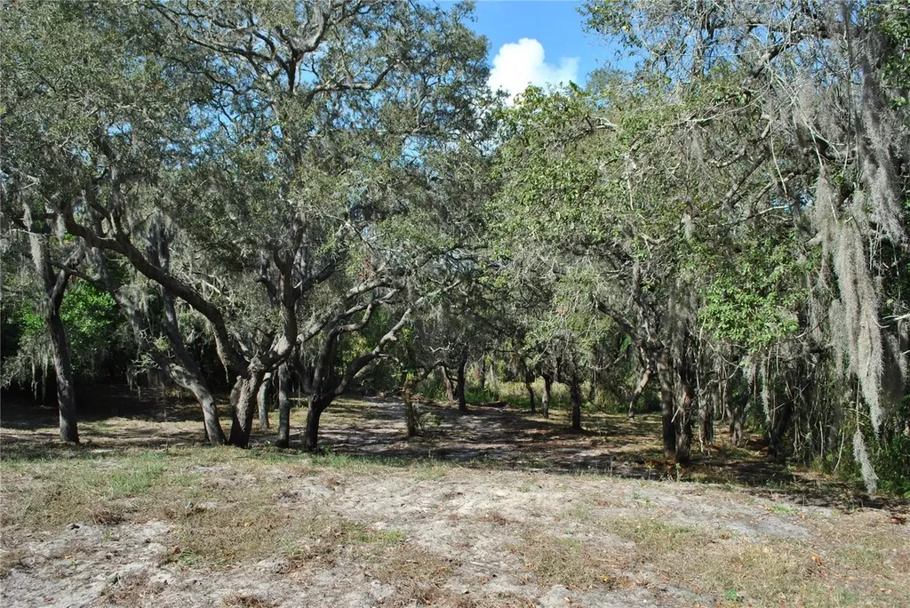 2787 Keystone Road Tarpon Springs FL 34688