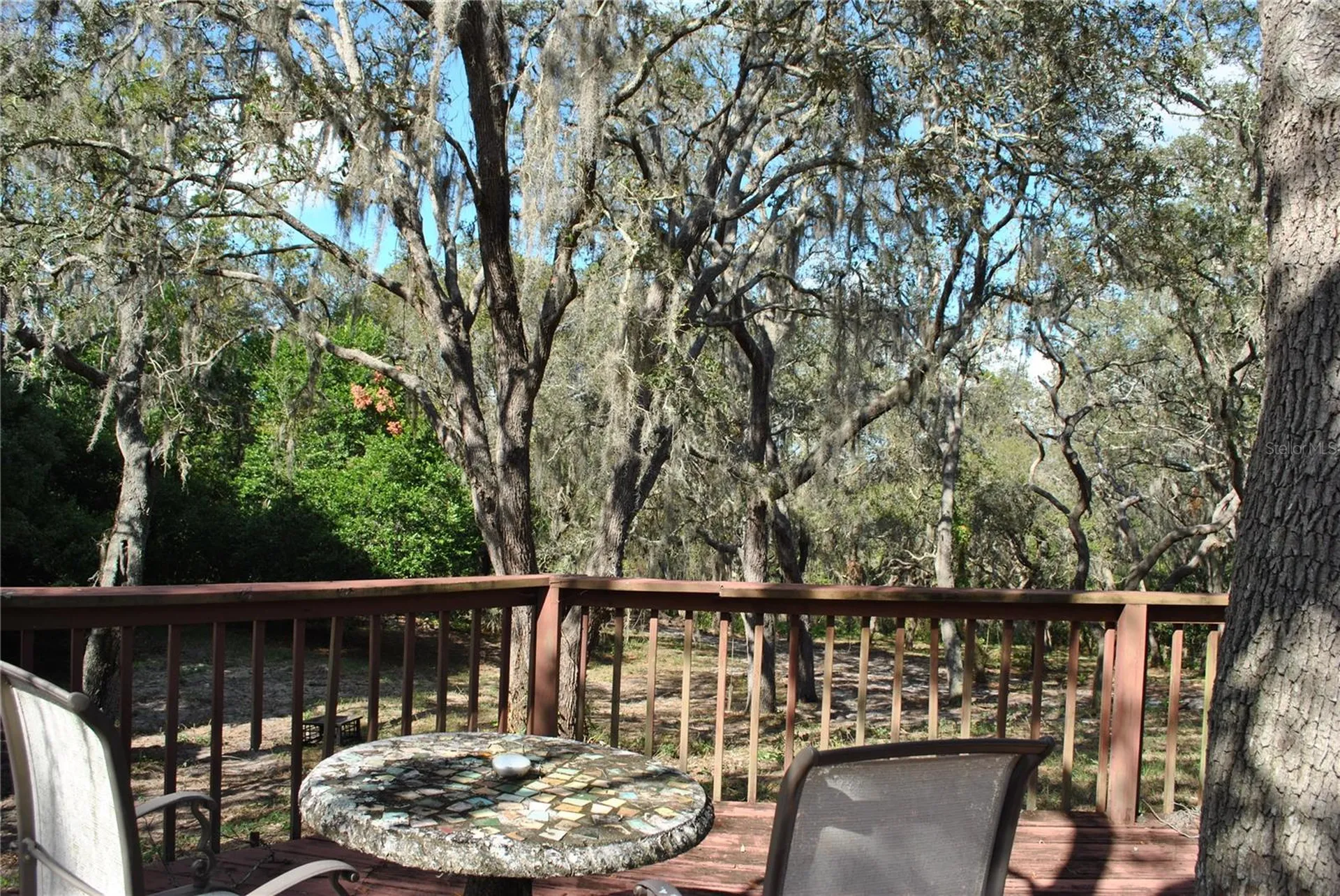 2787 Keystone Road Tarpon Springs FL 34688