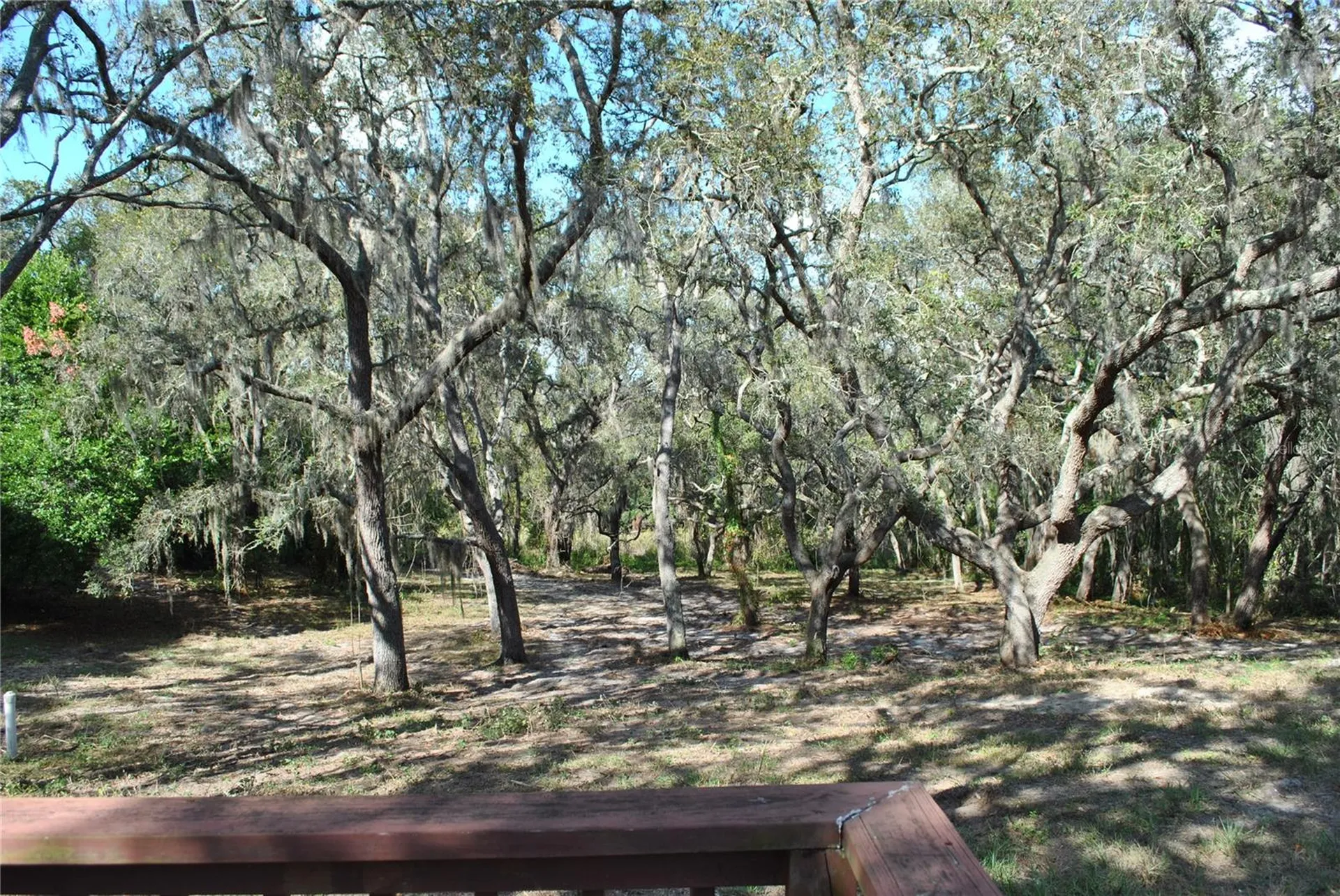 2787 Keystone Road Tarpon Springs FL 34688