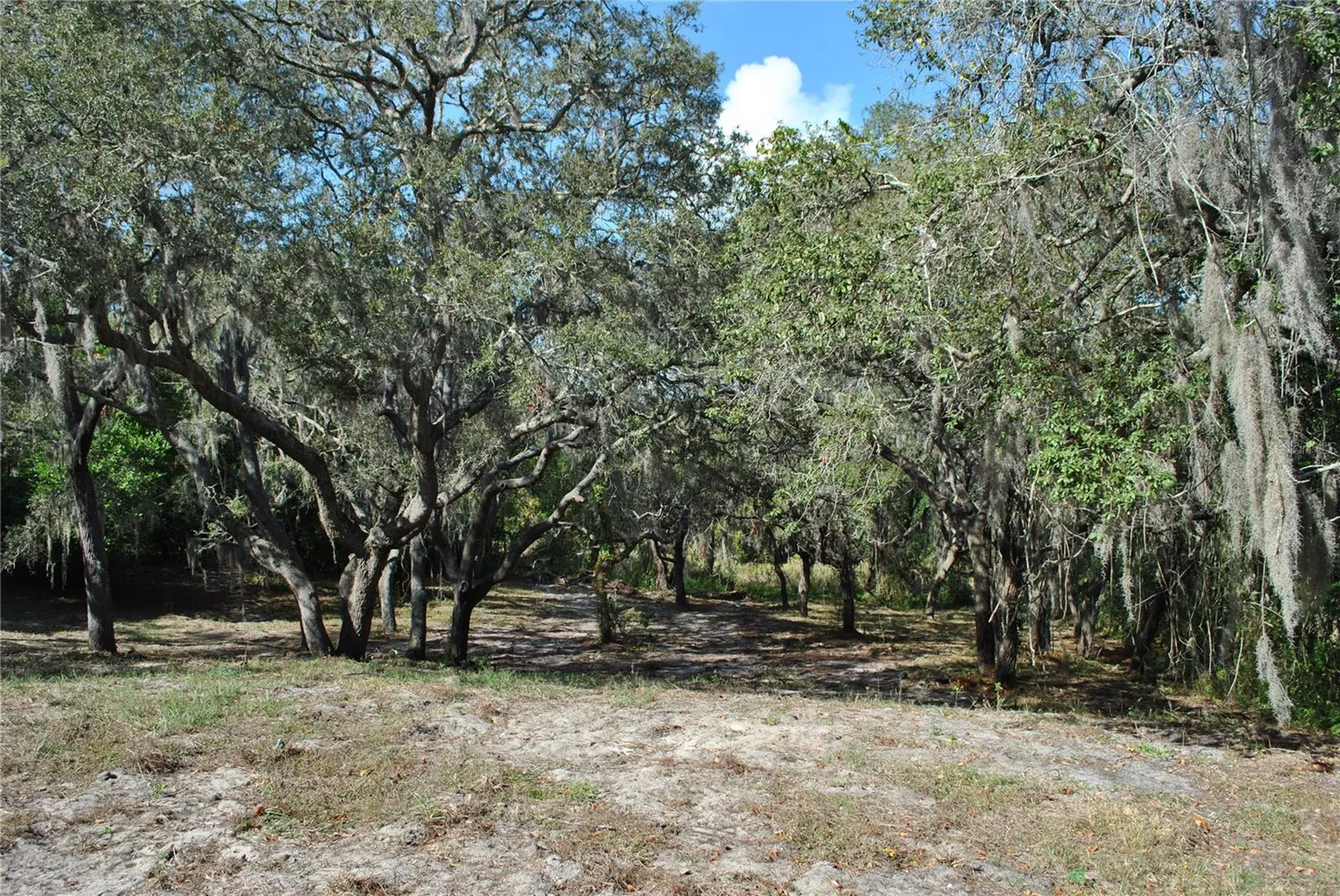 2787 Keystone Road Tarpon Springs FL 34688