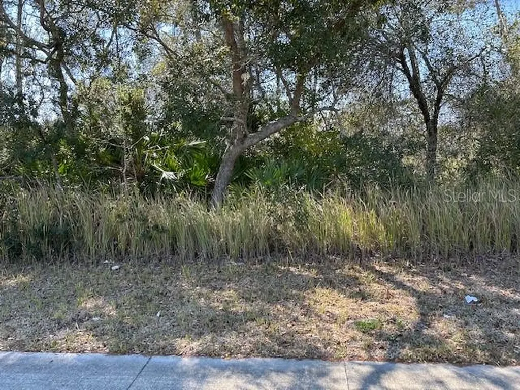 825 Fort Smith Boulevard Deltona FL 32738