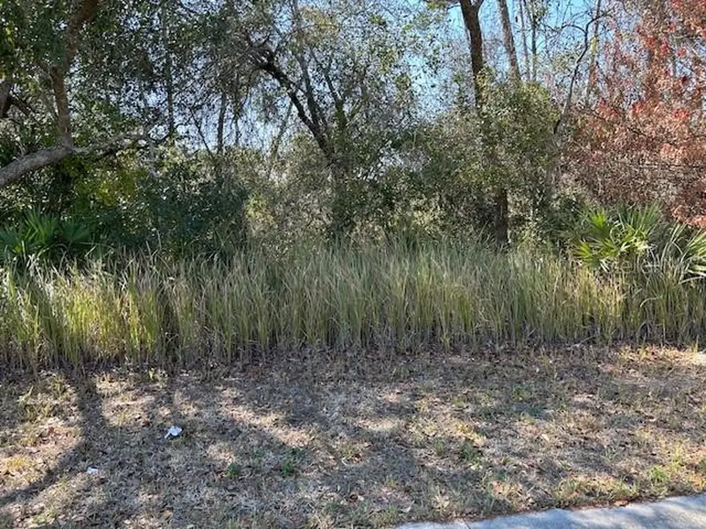 825 Fort Smith Boulevard Deltona FL 32738