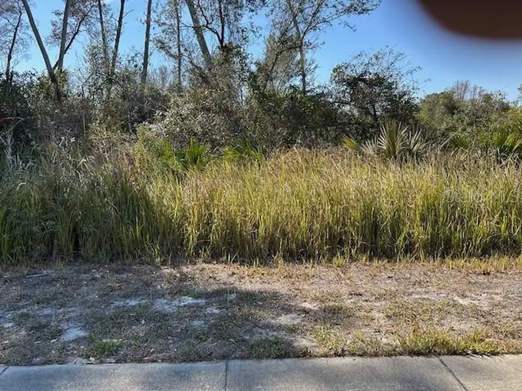 825 Fort Smith Boulevard Deltona FL 32738