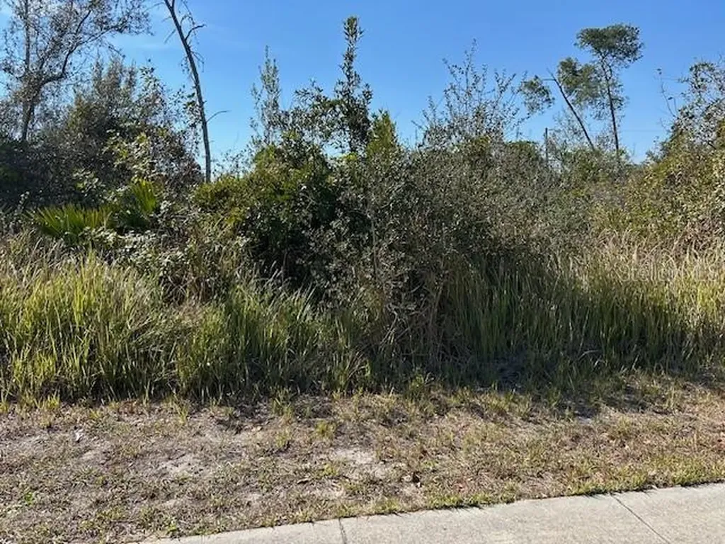825 Fort Smith Boulevard Deltona FL 32738