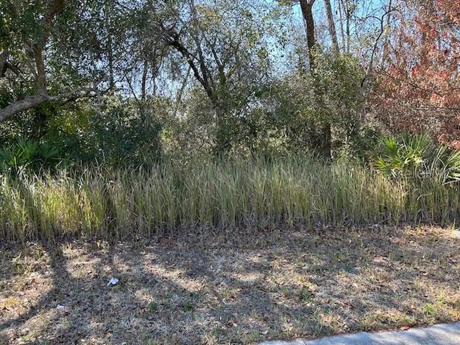 825 Fort Smith Boulevard Deltona FL 32738