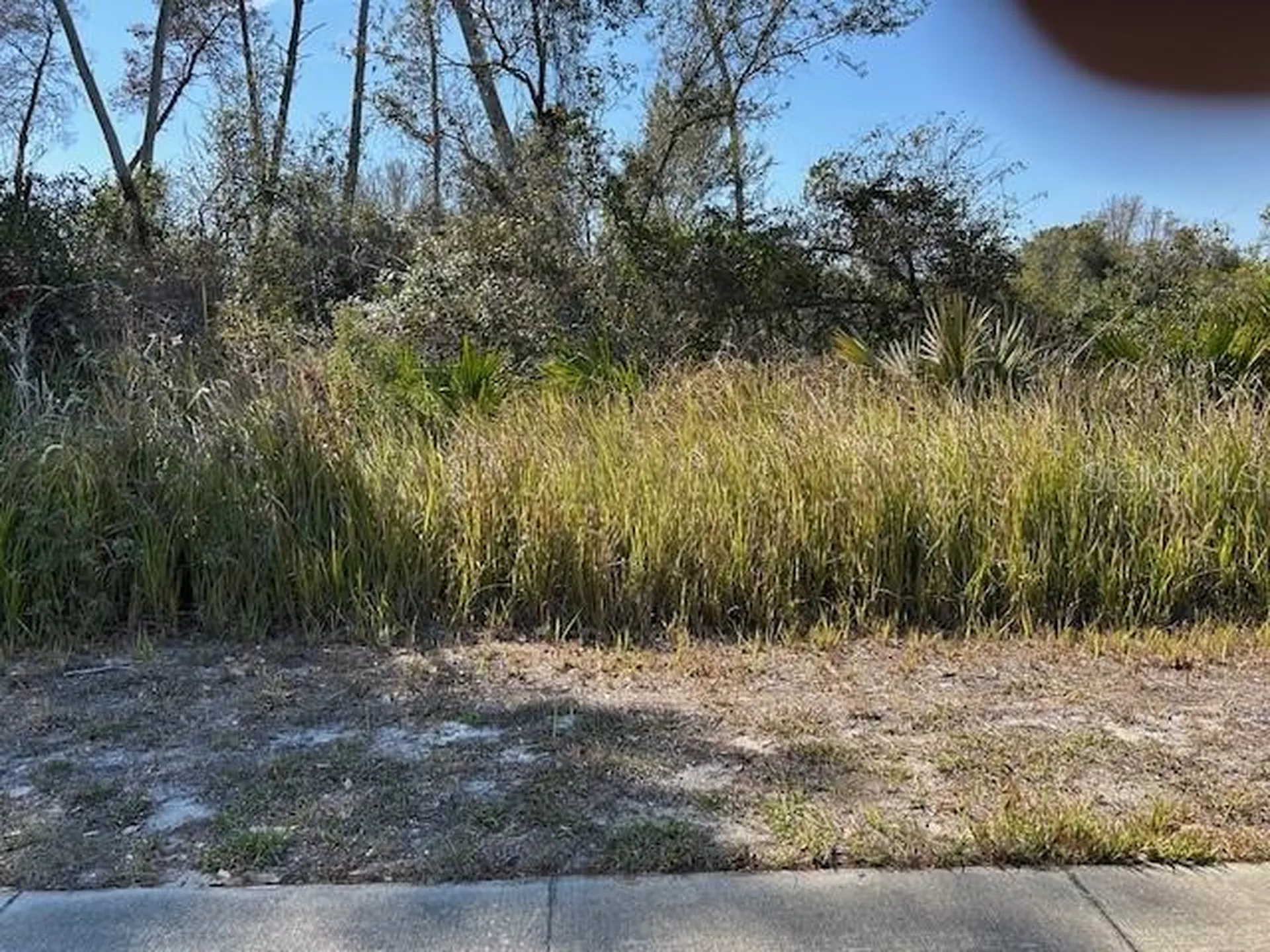 825 Fort Smith Boulevard Deltona FL 32738