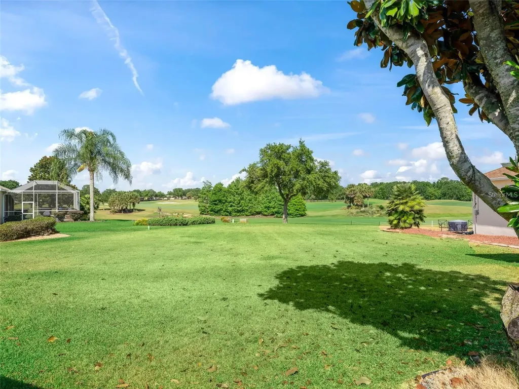 3024 Paynes Place The Villages FL 32162