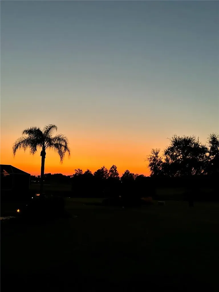 3024 Paynes Place The Villages FL 32162