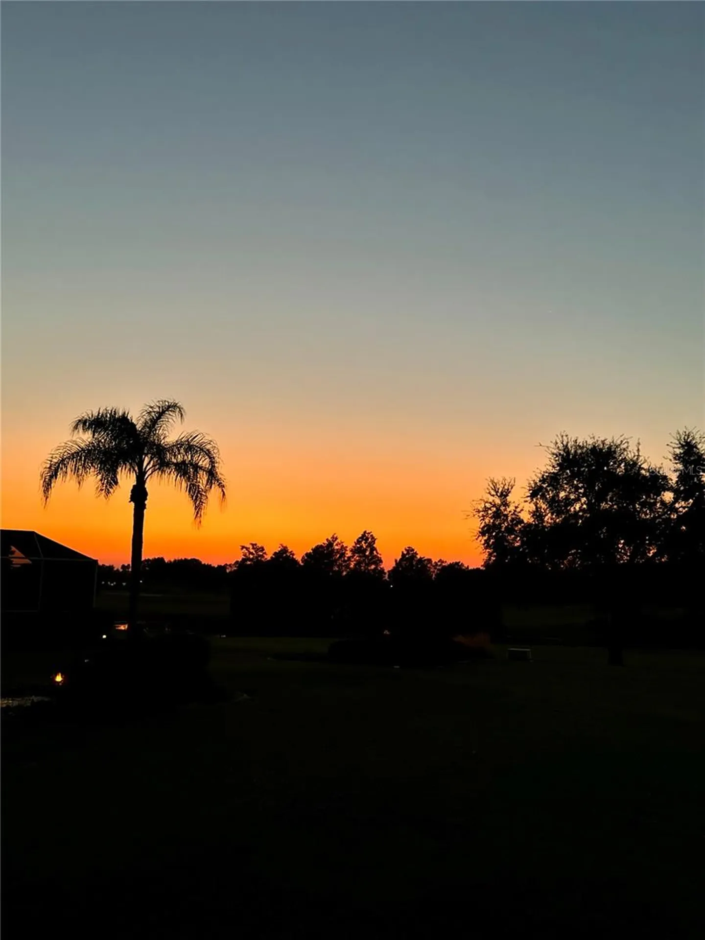 3024 Paynes Place The Villages FL 32162