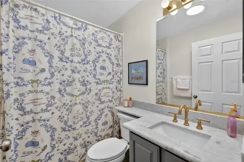 3024 Paynes Place The Villages FL 32162