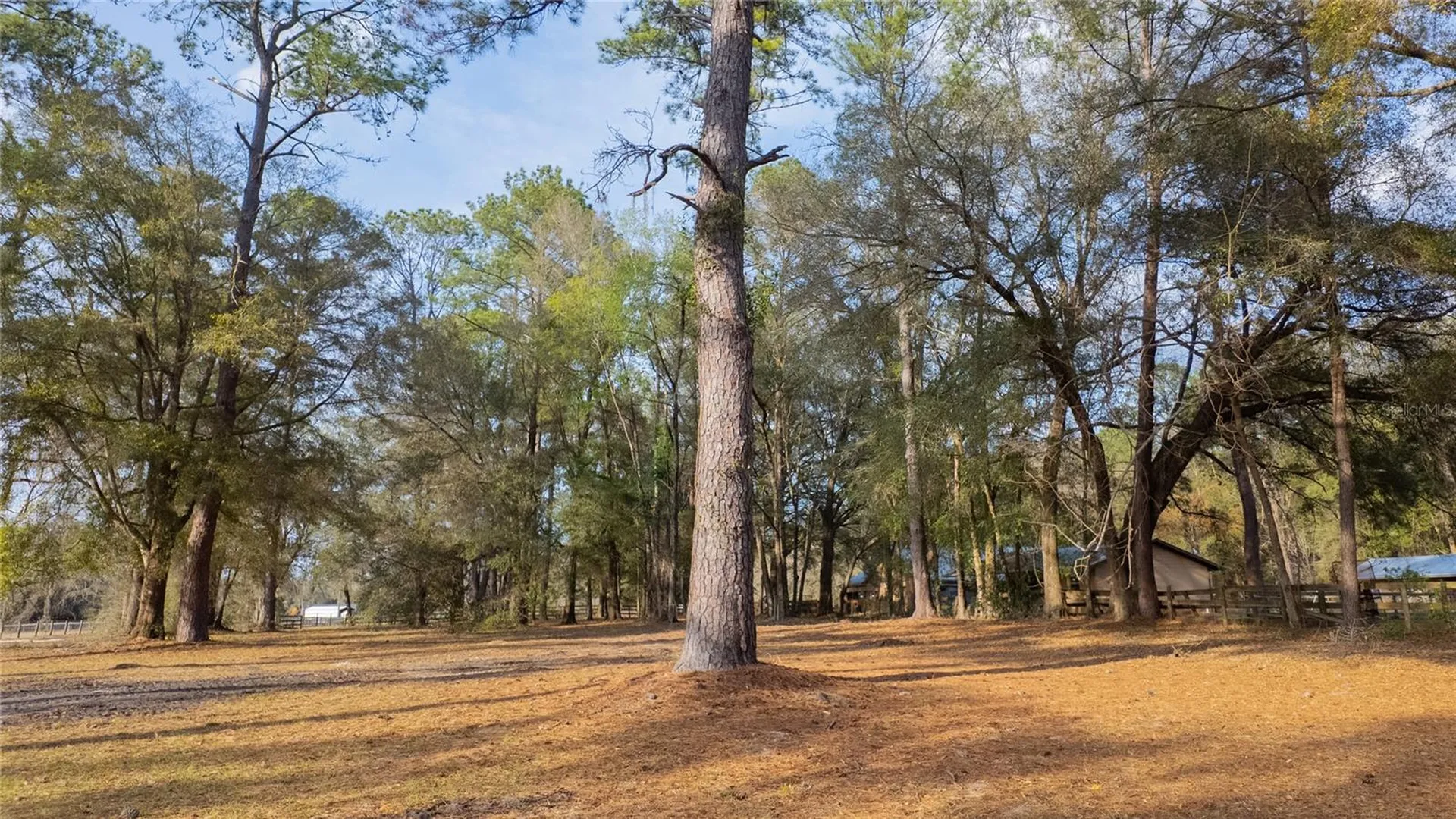 1154 SE 95th Street Ocala FL 34480