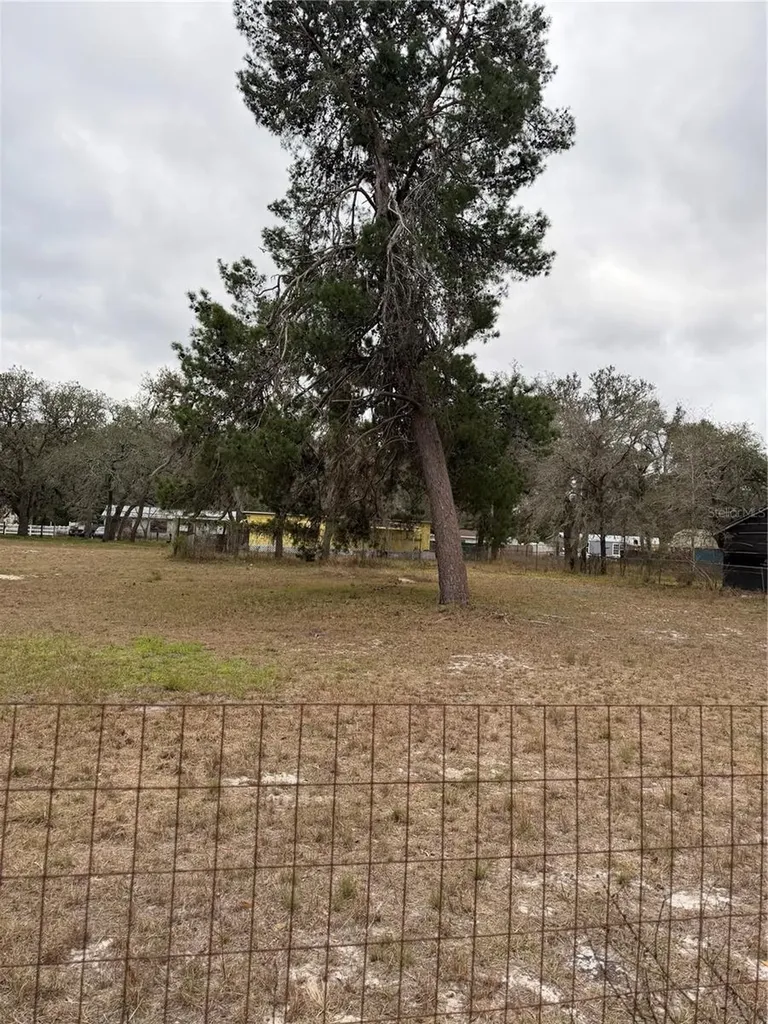 12013 Bethwood Avenue New Port Richey FL 34654