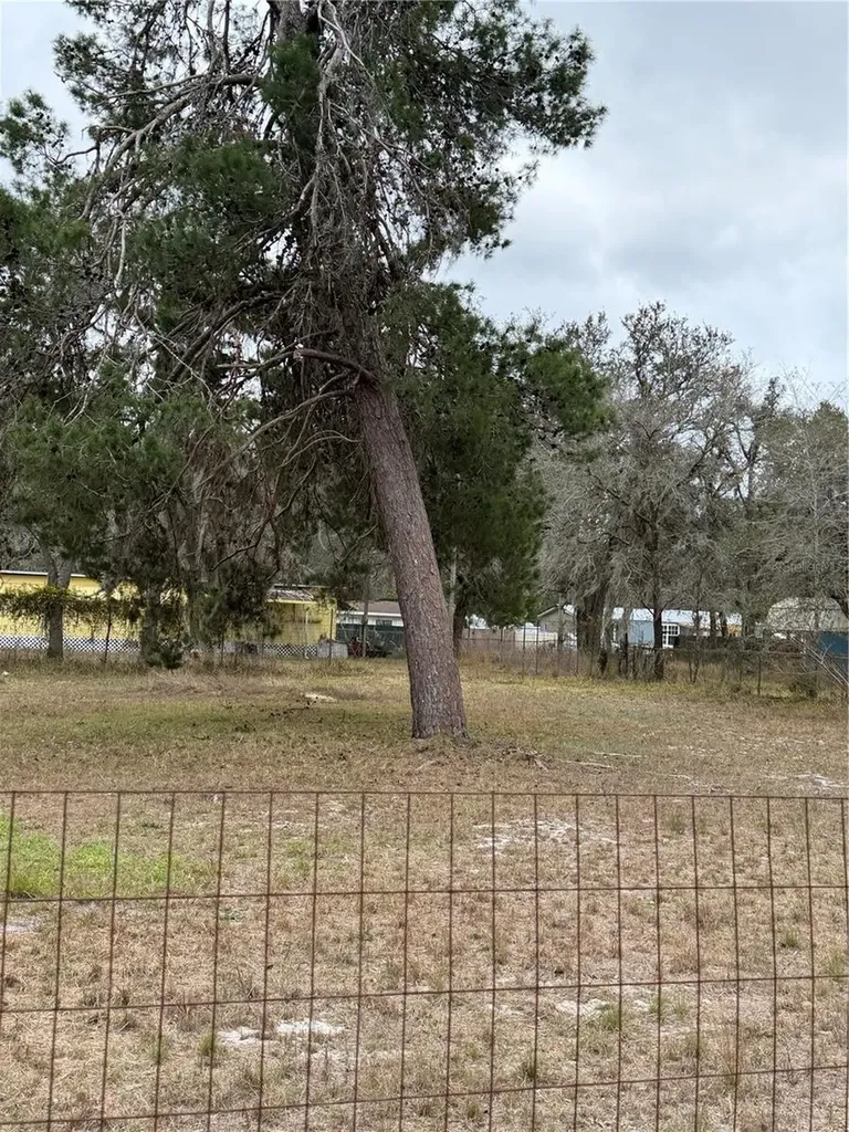12013 Bethwood Avenue New Port Richey FL 34654