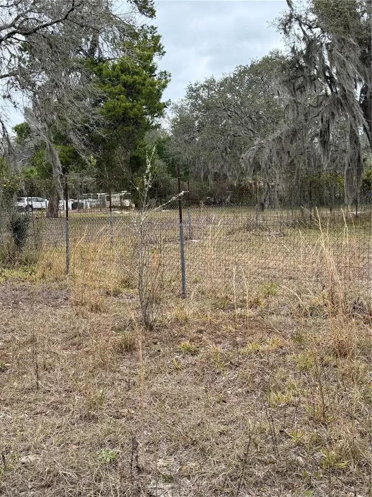 12013 Bethwood Avenue New Port Richey FL 34654