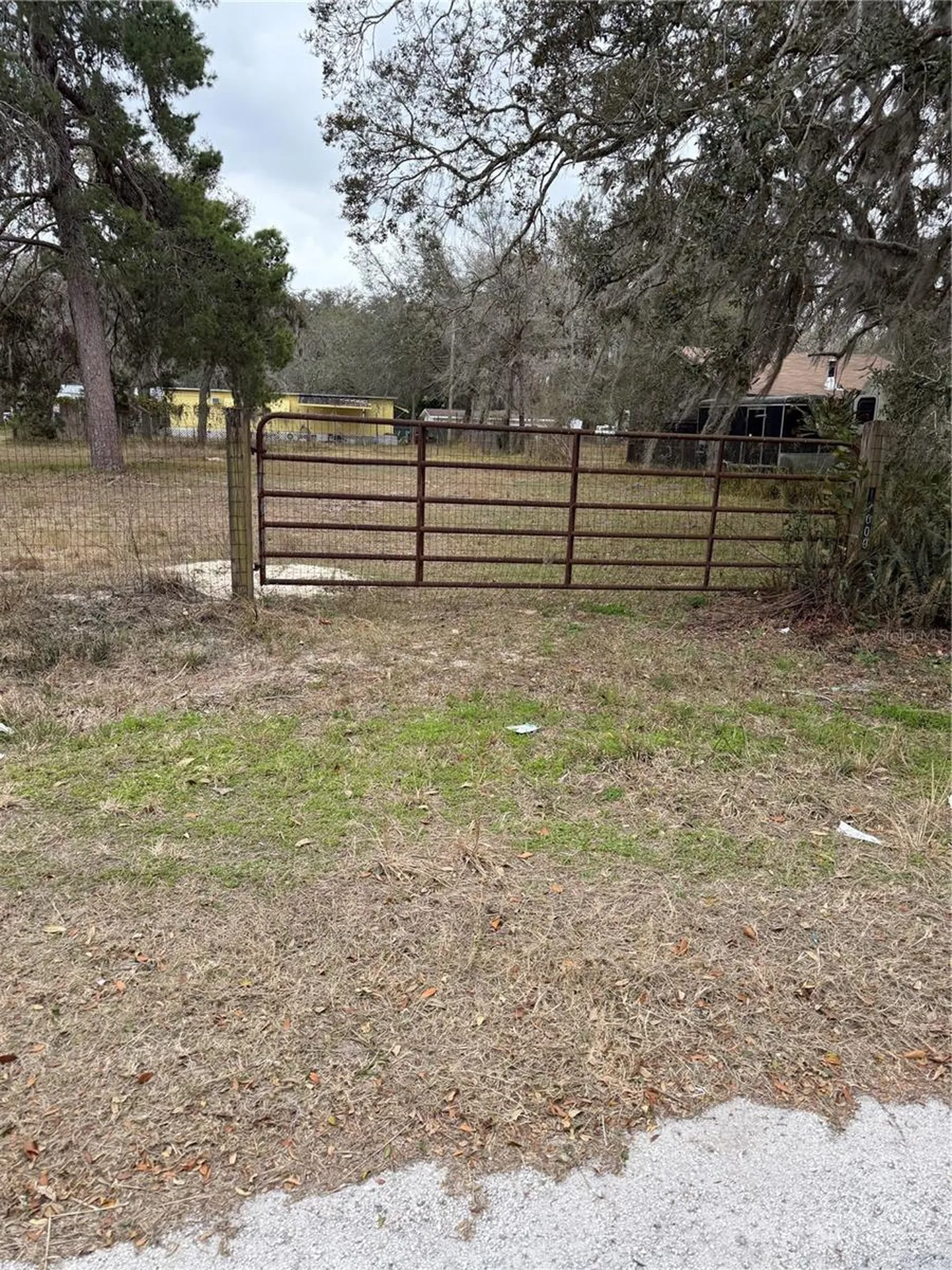12013 Bethwood Avenue New Port Richey FL 34654