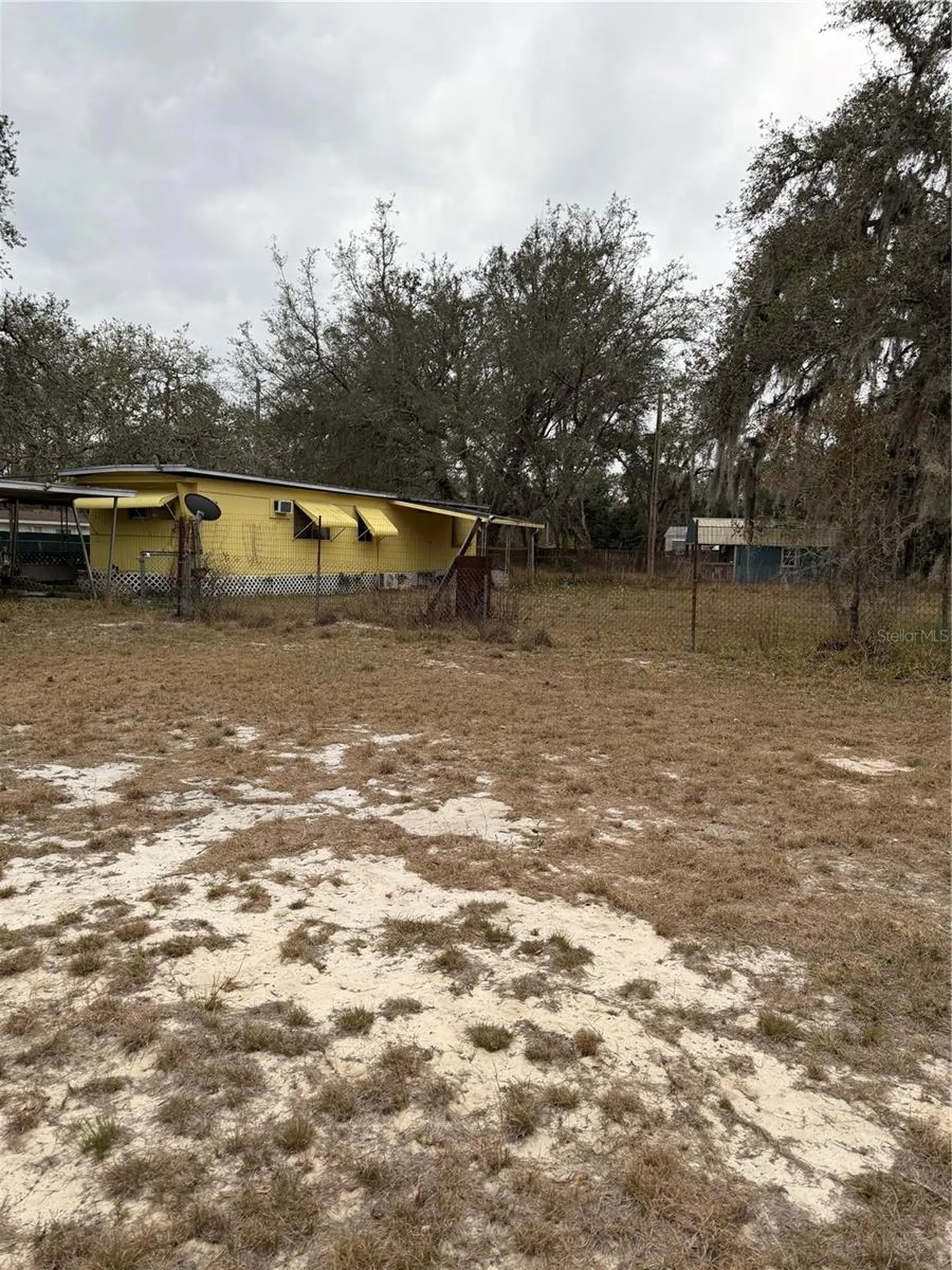 12013 Bethwood Avenue New Port Richey FL 34654