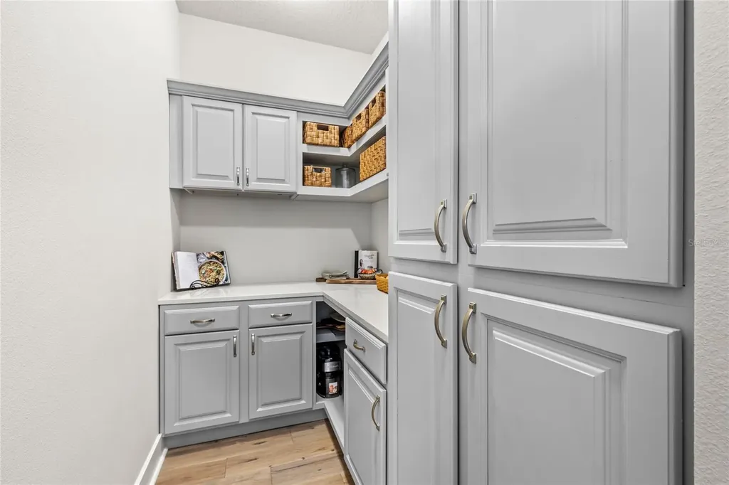 25620 Grandview Pointe Sorrento FL 32776