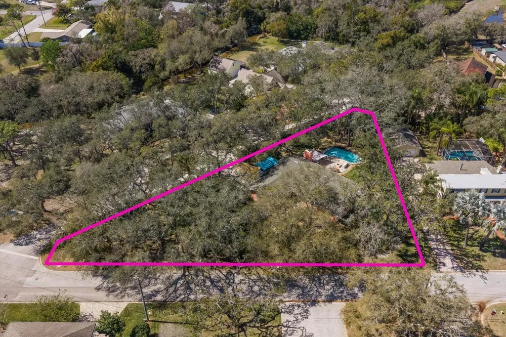 1921 Cardinal Road Dunedin FL 34698