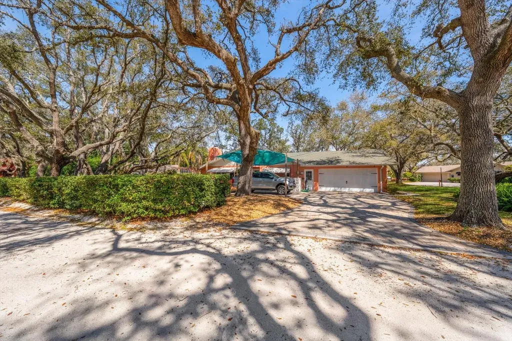 1921 Cardinal Road Dunedin FL 34698