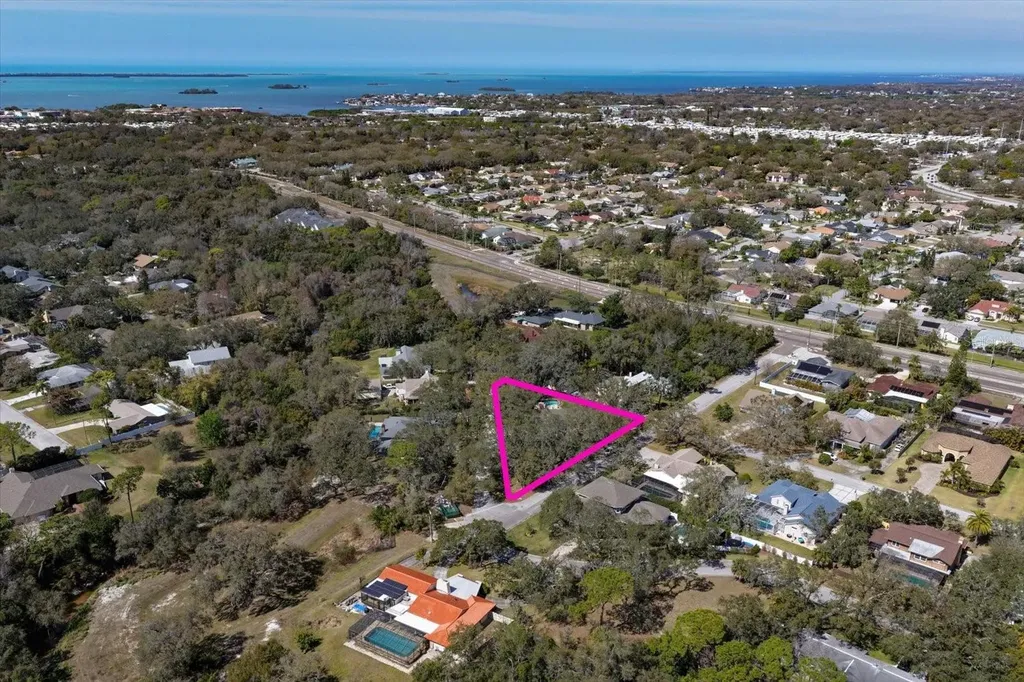 1921 Cardinal Road Dunedin FL 34698